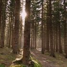 Herbstwanderung im Riesengebirge