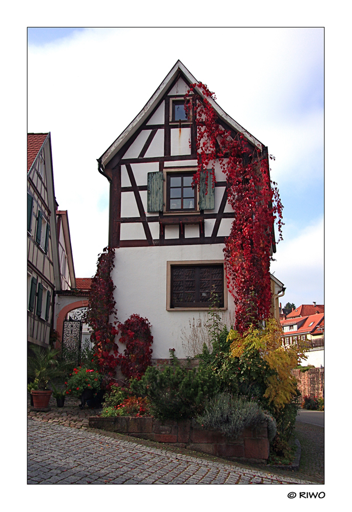 Herbstwanderung im Schwarzwald....