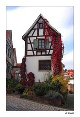 Herbstwanderung im Schwarzwald....