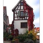 Herbstwanderung im Schwarzwald....