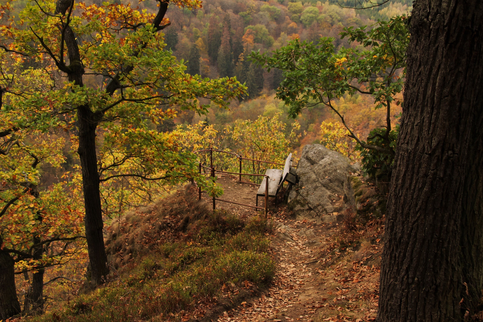 Herbstwanderung im Selketal