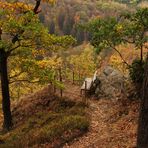 Herbstwanderung im Selketal