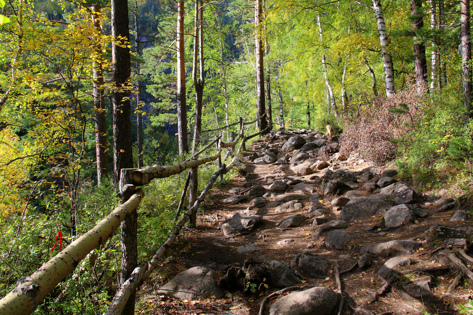 Herbstwanderung in Arschan (Burjatien) 