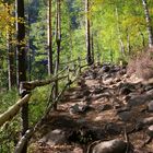 Herbstwanderung in Arschan (Burjatien) 