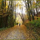 Herbstwanderung in der Eifel