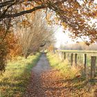 Herbstwanderung in der Leinemasch