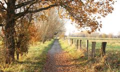 Herbstwanderung in der Leinemasch