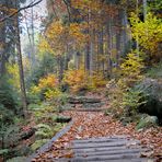 Herbstwanderung in der Sächsischen Schweiz 2