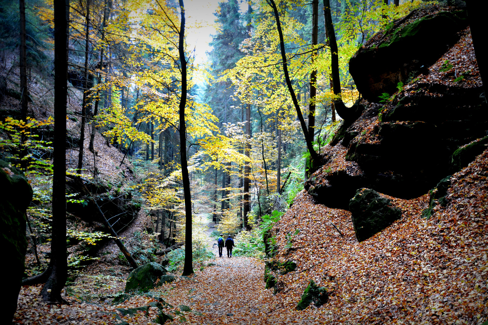 Herbstwanderung in der Sächsischen Schweiz 3