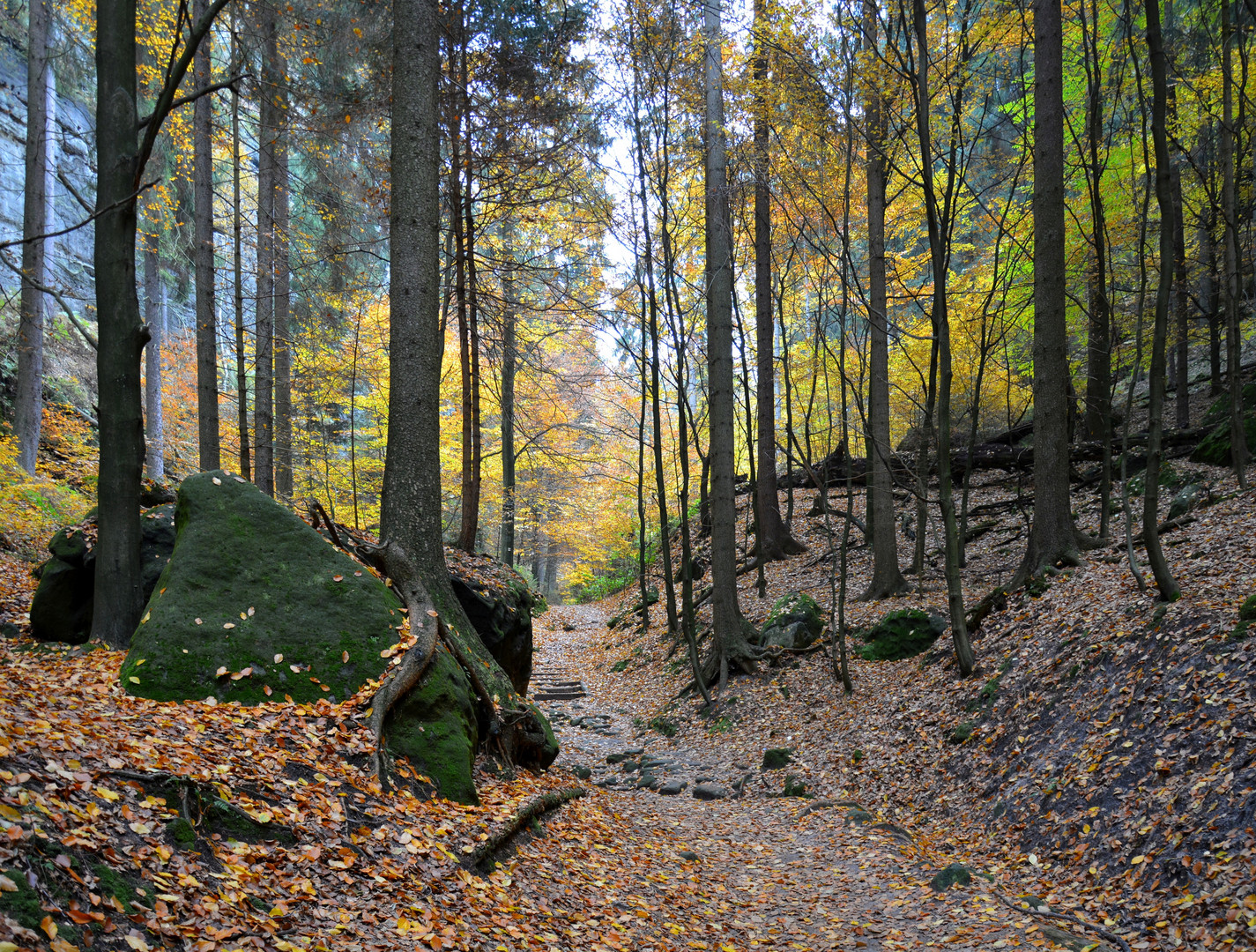 Herbstwanderung in der Sächsischen Schweiz 