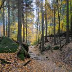 Herbstwanderung in der Sächsischen Schweiz 