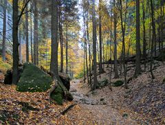 Herbstwanderung in der Sächsischen Schweiz 