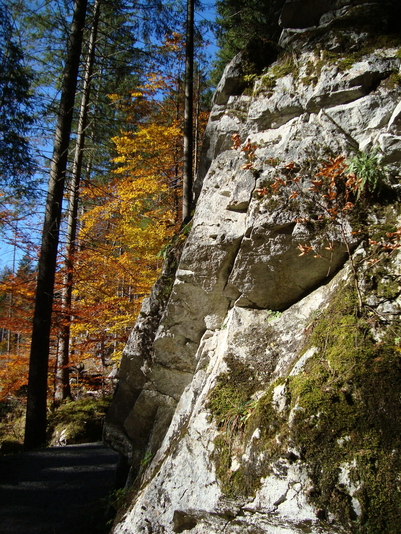 Herbstwanderung in Grainau