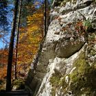Herbstwanderung in Grainau