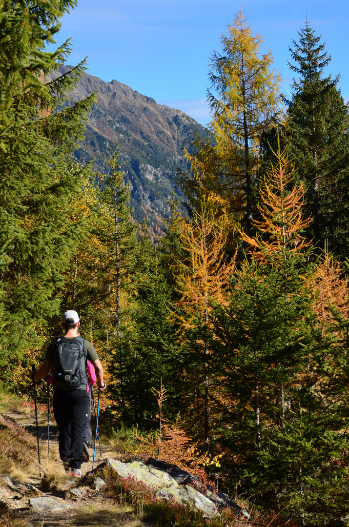 Herbstwanderung in Haiming