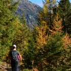 Herbstwanderung in Haiming