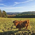 Herbstwanderung IV