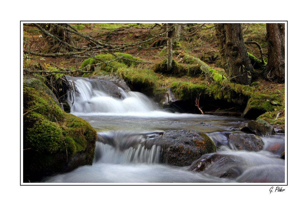 Herbstwanderung nach dem Schneefall