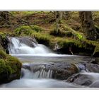 Herbstwanderung nach dem Schneefall