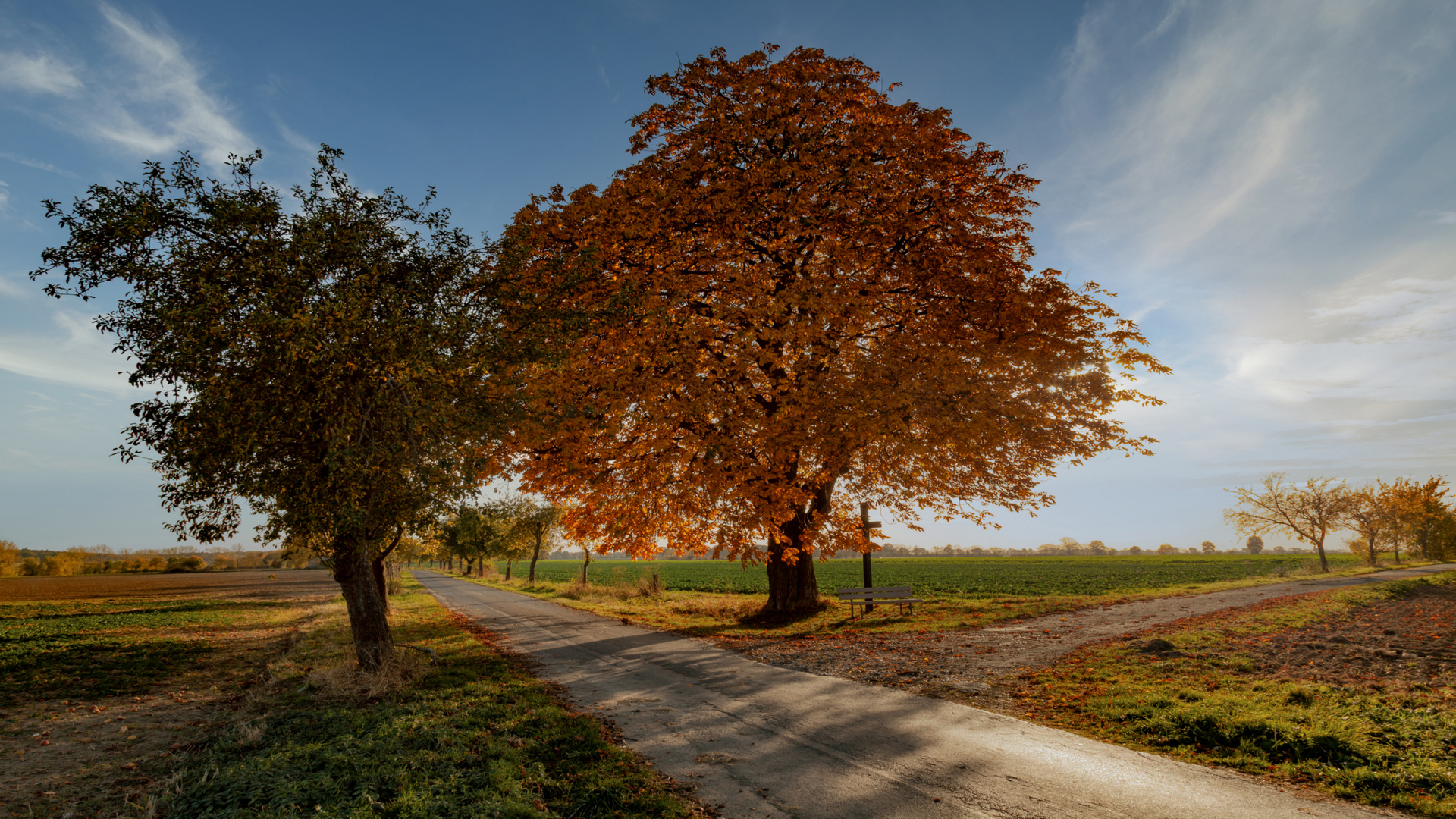 Herbstwanderung OWL 2021-05