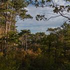 Herbstwanderung Pfaffstättner Kogel