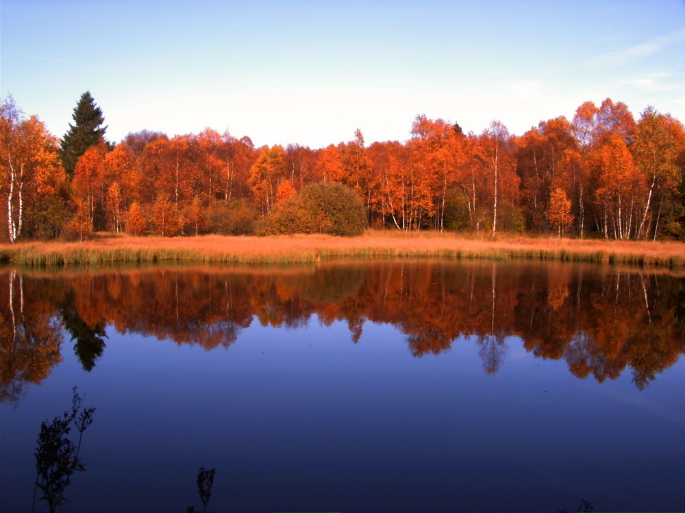 Herbstwanderung - Rotes Moor