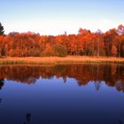 Herbstwanderung - Rotes Moor