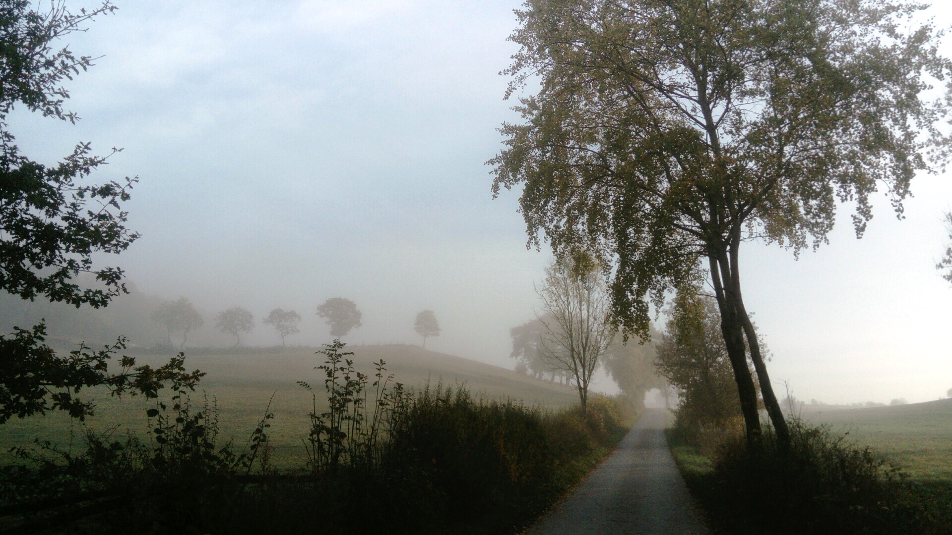 Herbstwanderung rund um Affeln 