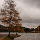 Herbstwanderung - Turrachsee