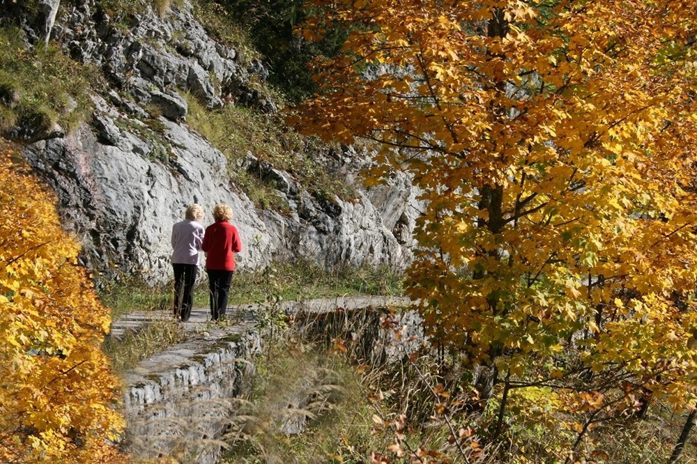 Herbstwanderung um den Gosausee