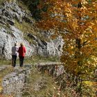 Herbstwanderung um den Gosausee