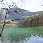 Herbstwanderung um die Königsschlösser