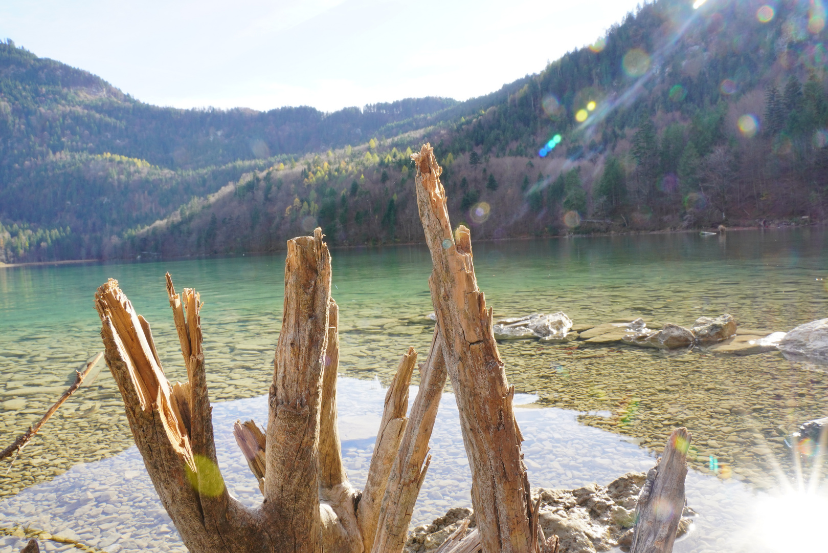 Herbstwanderung um die Königsschlösser