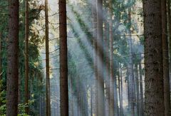 Herbstwanderung- von der Sonne begleitet...