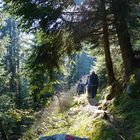 Herbstwanderung zum Hochganghaus