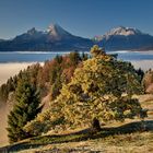 Herbstwanderung zur Kneifelspitze