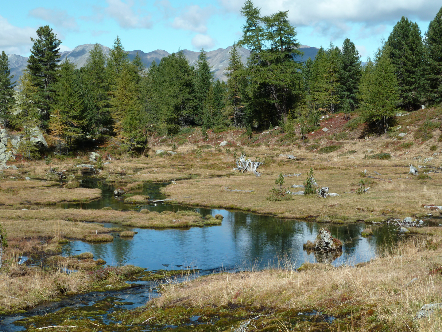 Herbstwanderung1