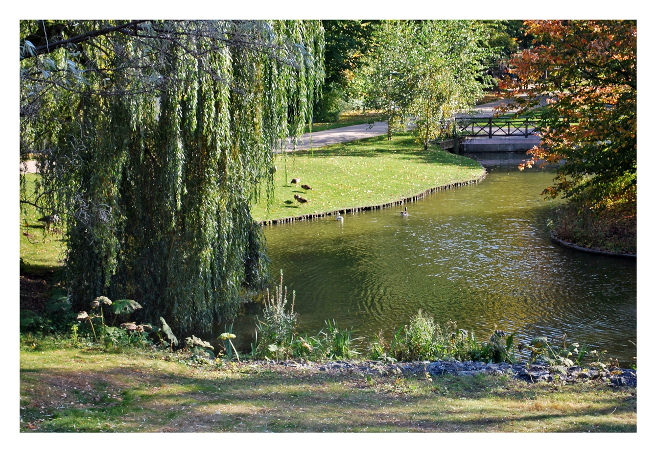 Herbstwanderungen.