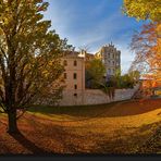 << Herbstwanderungen im Villapark Regensburg >>