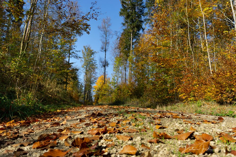 Herbst:Wander:Weg