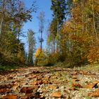 Herbst:Wander:Weg