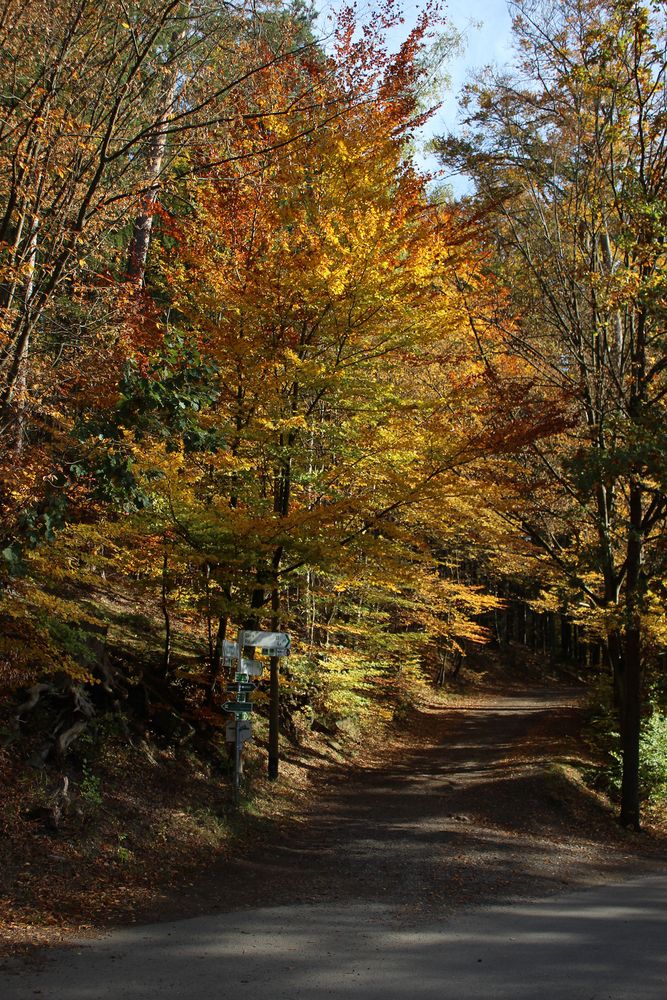 Herbstwanderweg 