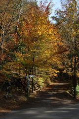 Herbstwanderweg 