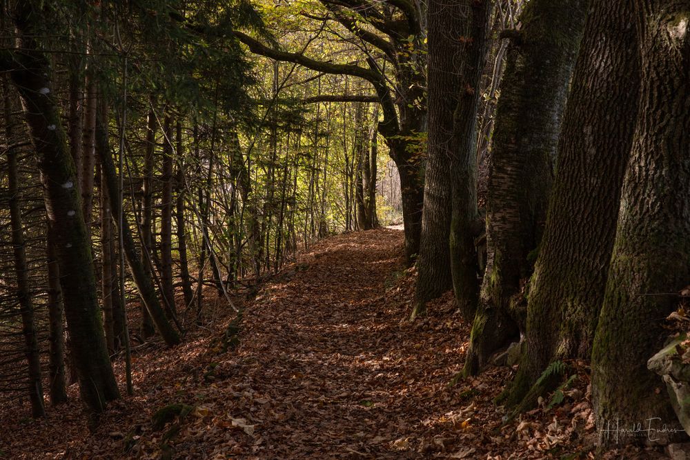 Herbstwanderweg