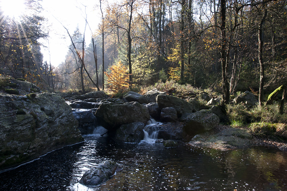 Herbstwasser #1