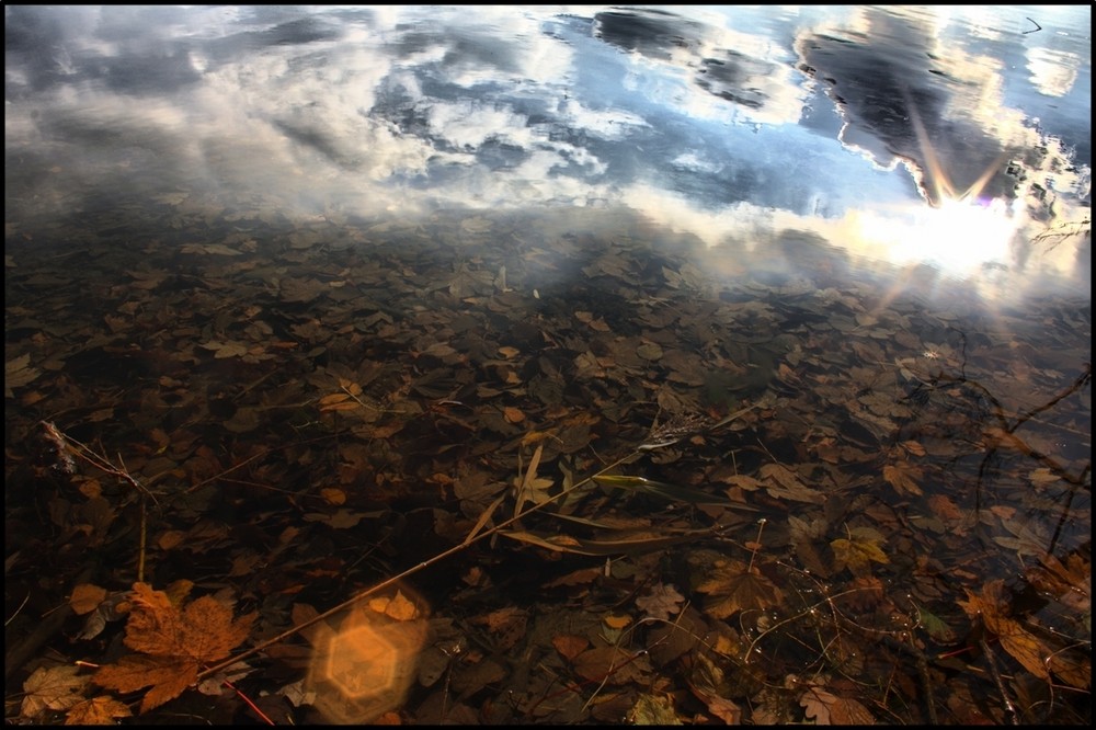 HerbstWasser