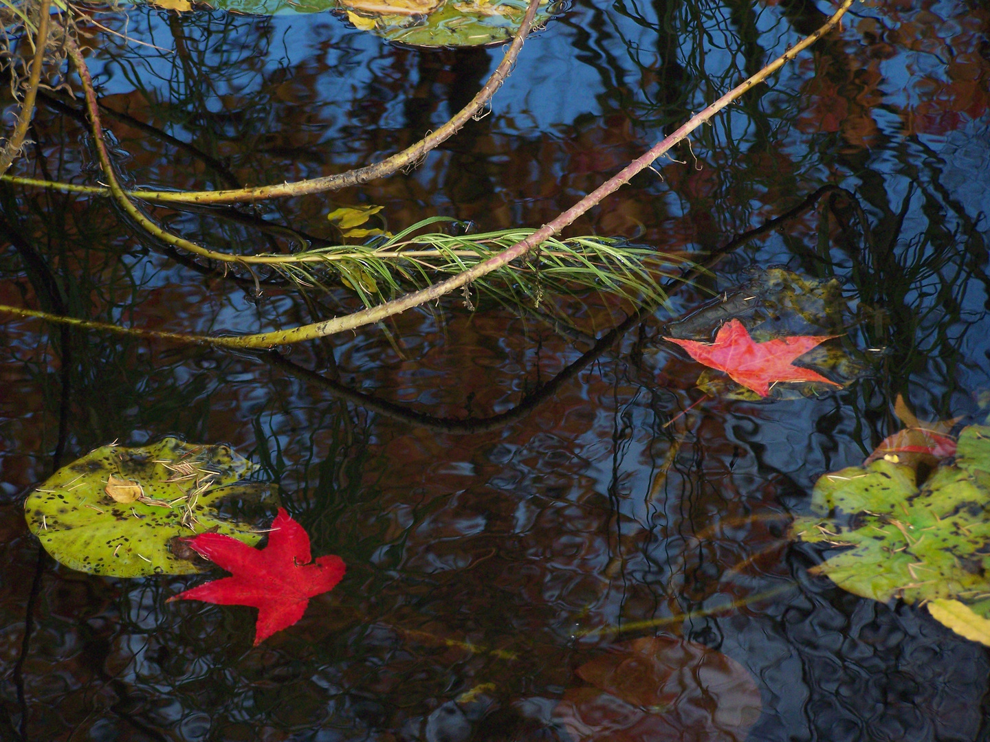 Herbstwasser