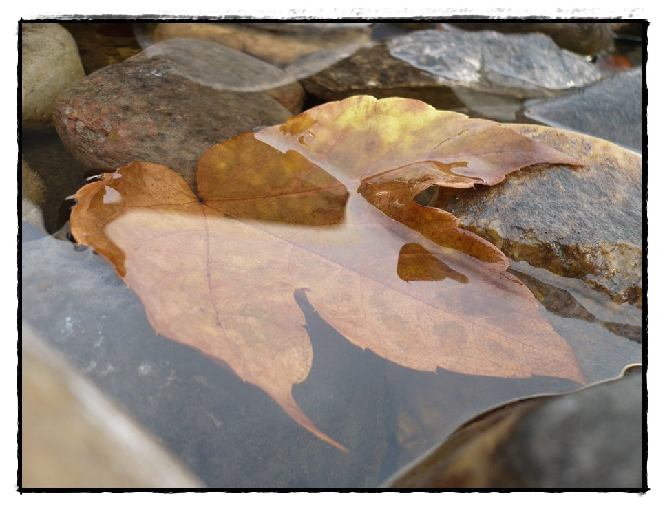 Herbstwasser 3