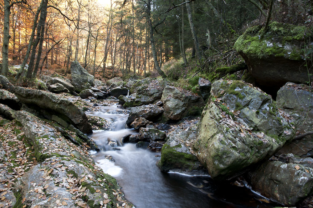 Herbstwasser #3