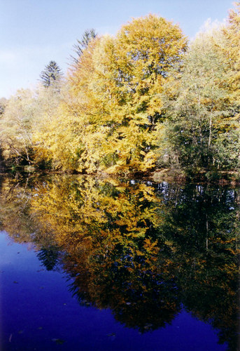 Herbstwasser